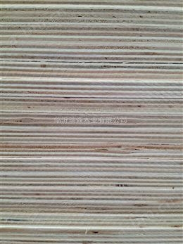 临沂瑞森木业奥古曼面桦木面胶合板全杨木板桉木多层板