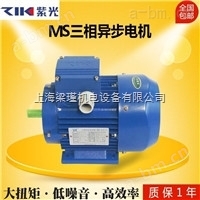 紫光电机,MS132S-2紫光三相异步电机